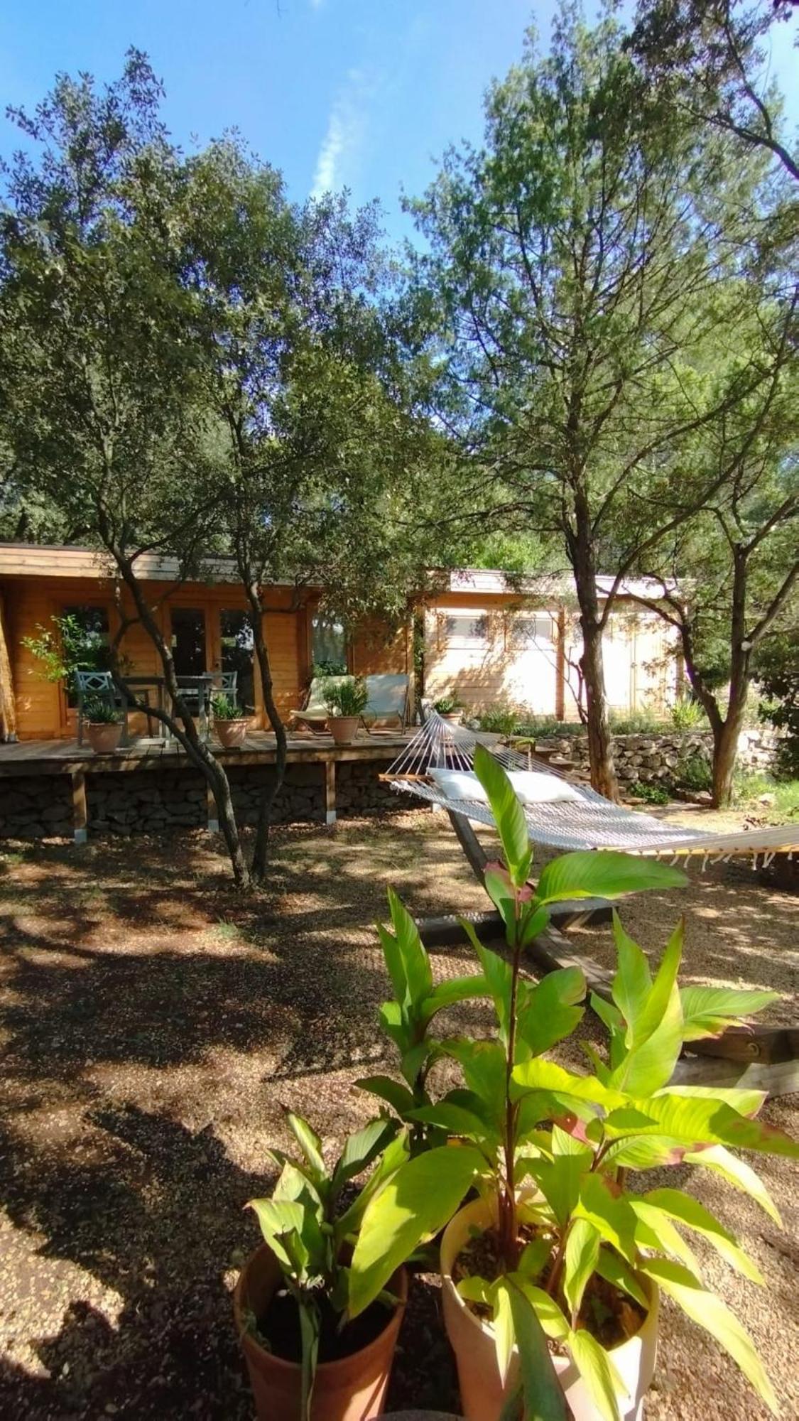 La Bergerie Des Colles Bed & Breakfast Entrecasteaux Екстериор снимка