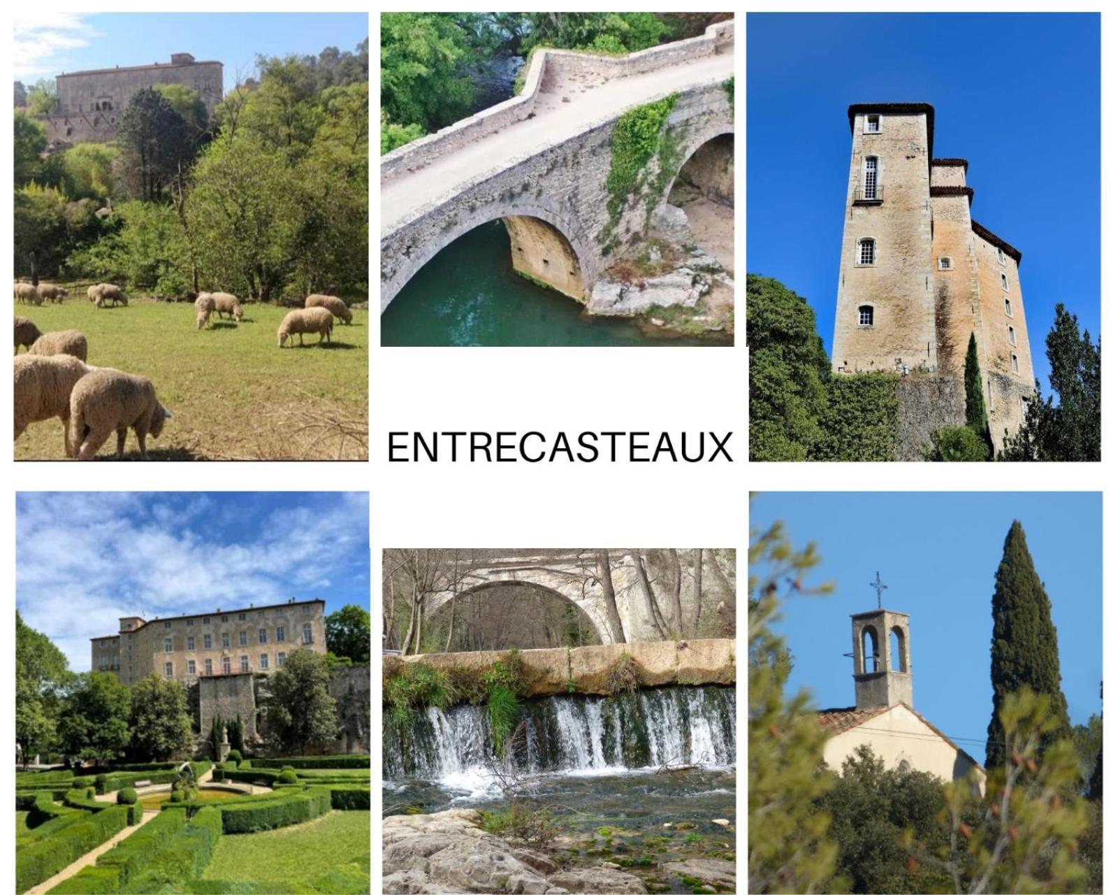 La Bergerie Des Colles Bed & Breakfast Entrecasteaux Екстериор снимка