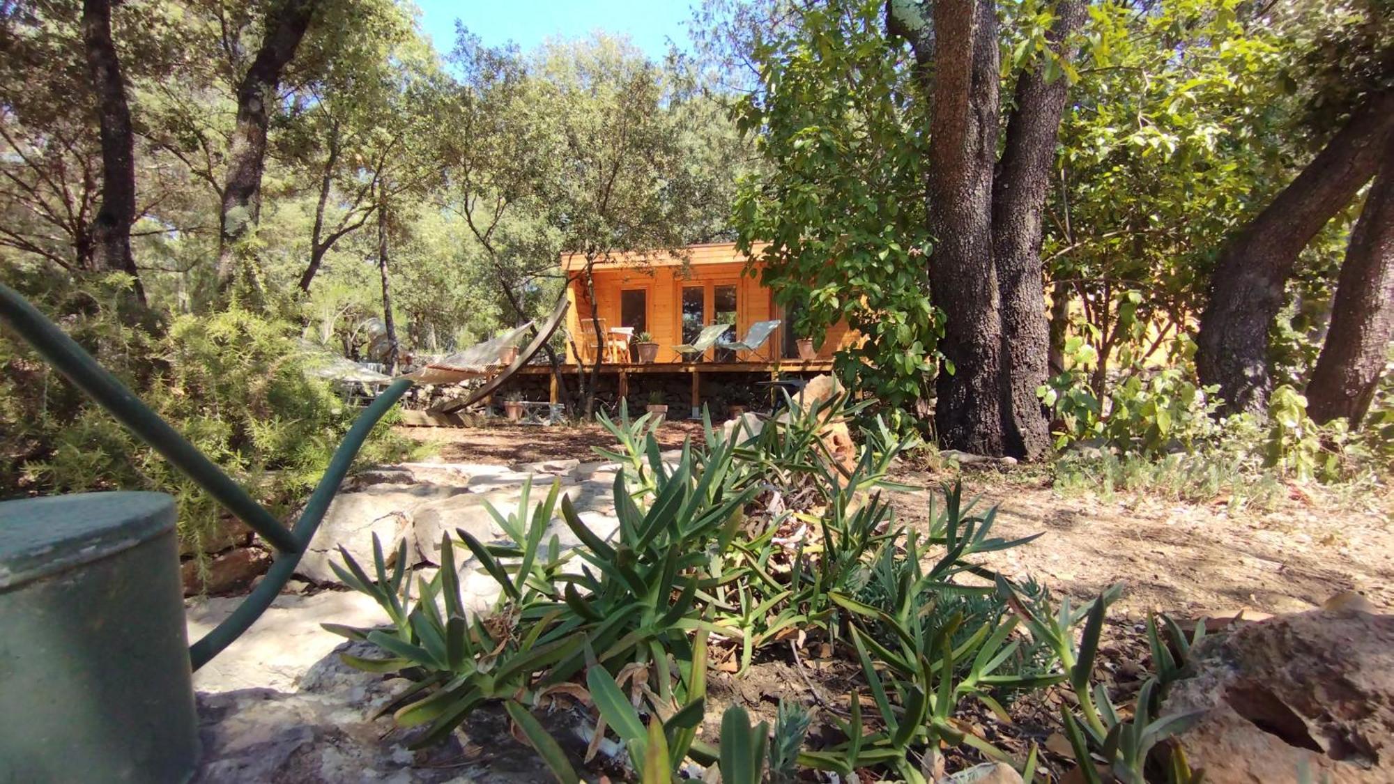 La Bergerie Des Colles Bed & Breakfast Entrecasteaux Екстериор снимка