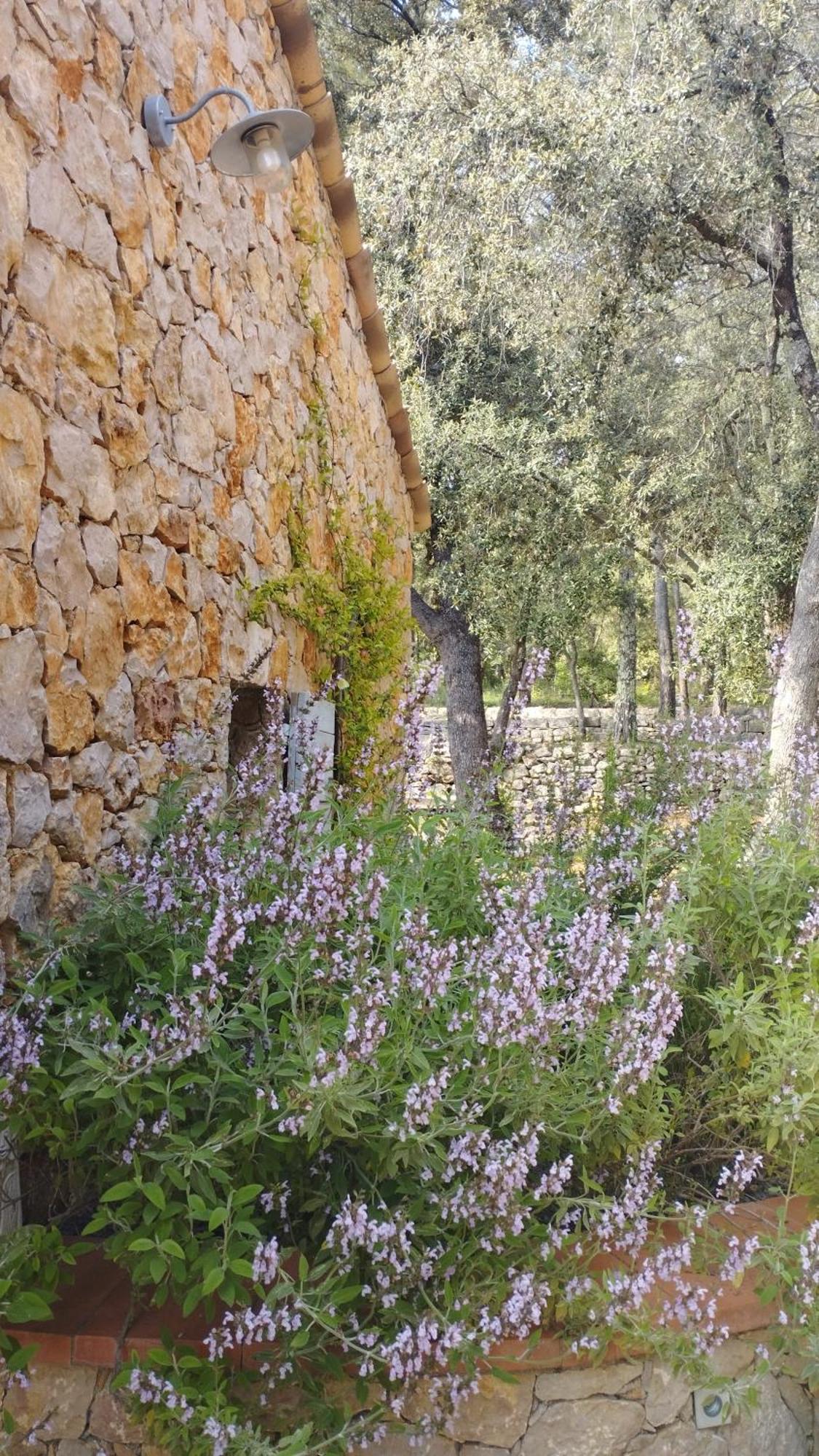 La Bergerie Des Colles Bed & Breakfast Entrecasteaux Екстериор снимка